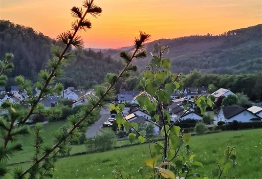 Die Abendrunde