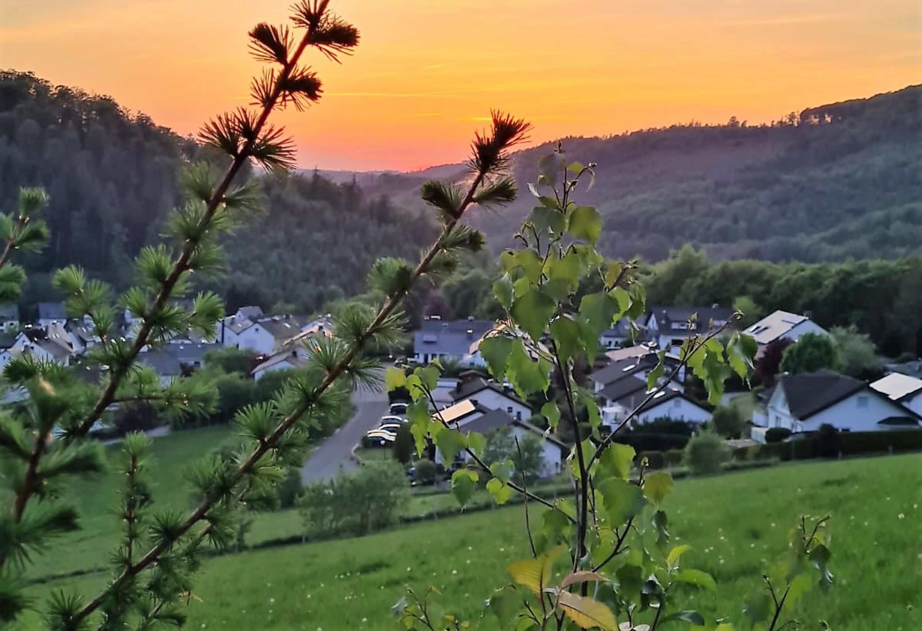 Die Abendrunde