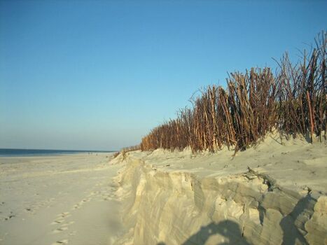 Dünen und unendliche Weite