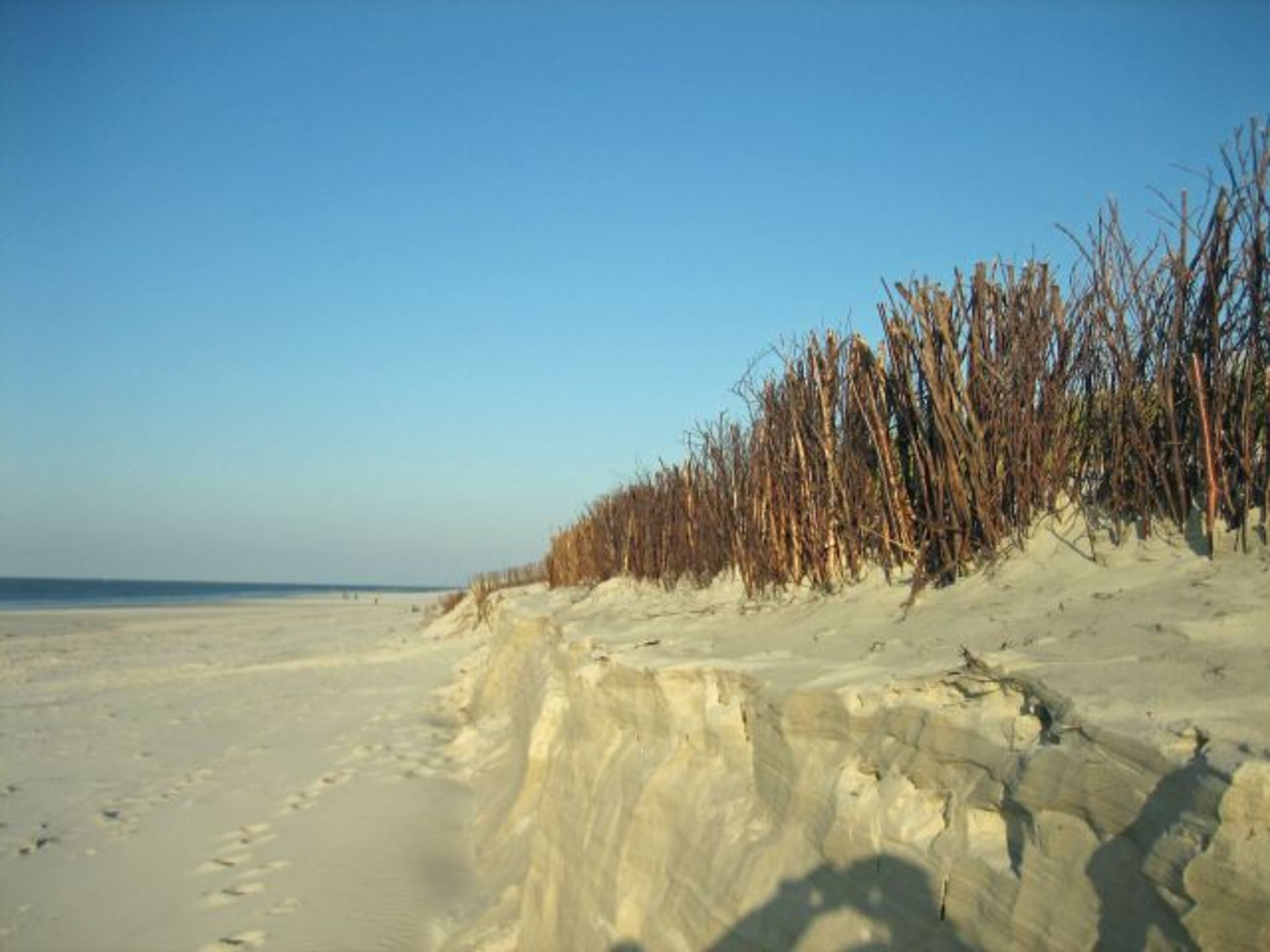 Dünen und unendliche Weite