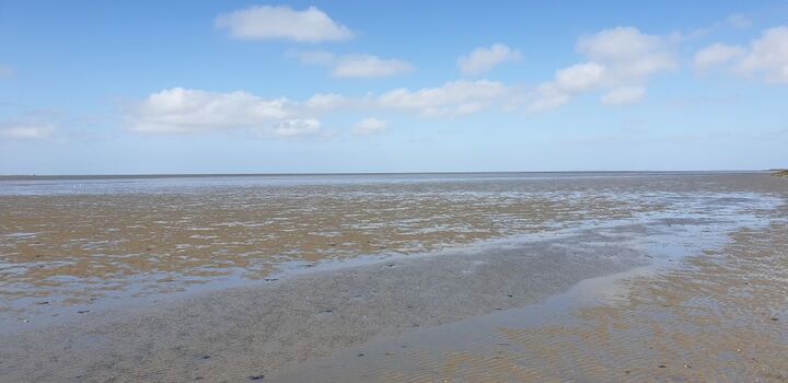 Wattenmeer Tossens