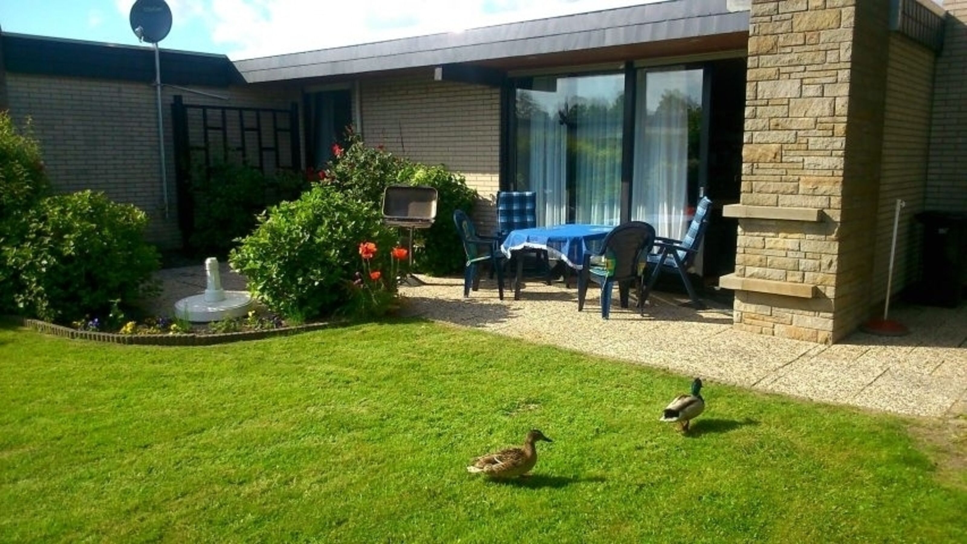 Terrasse mit Garten