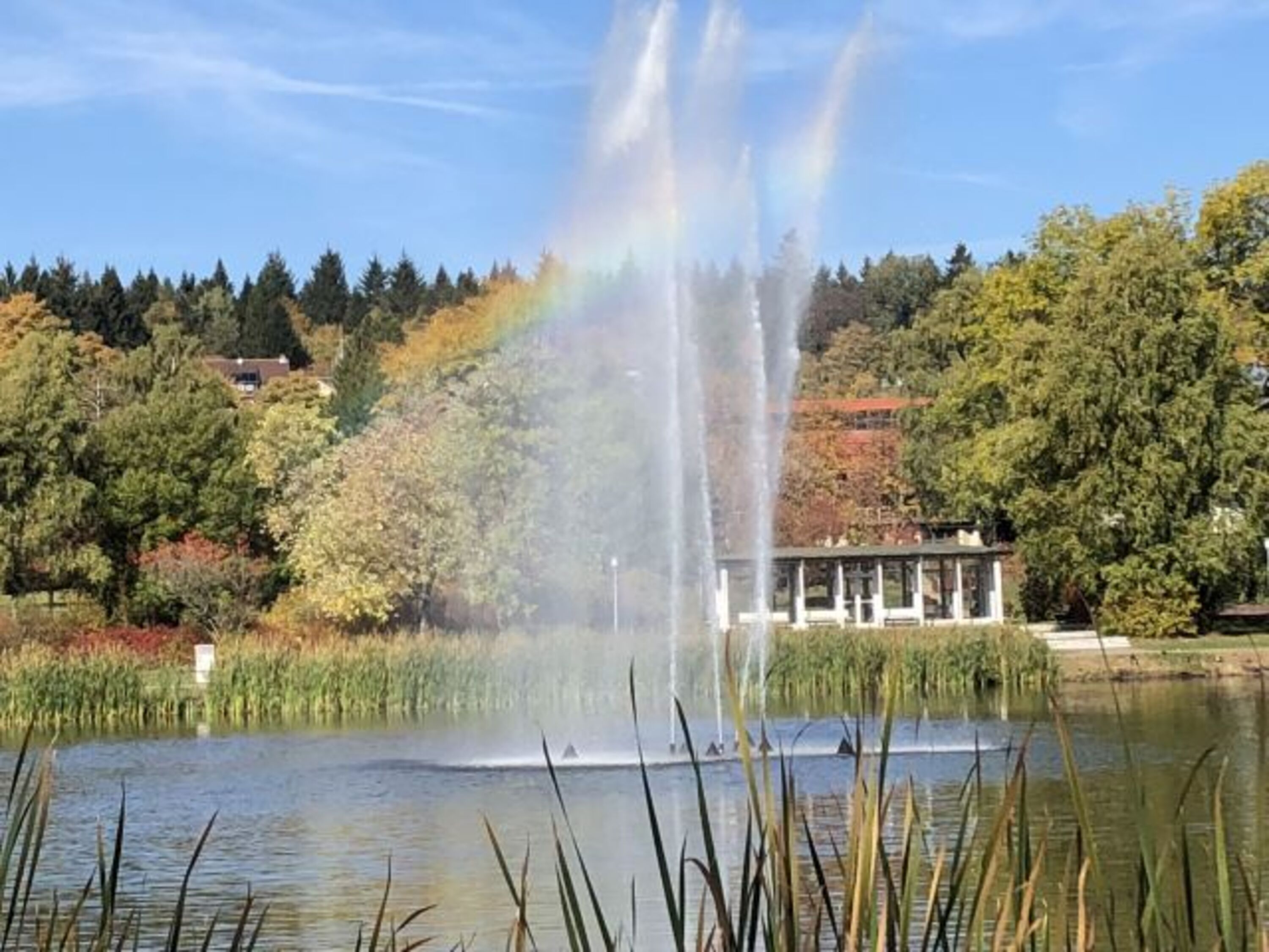 Am Kranichsee