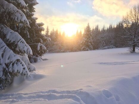 wunderschöne Schneelandschaft
