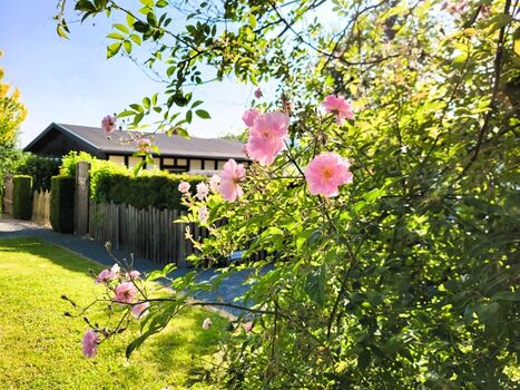 Haus Bergfrieden von der Straße aus betrachtet