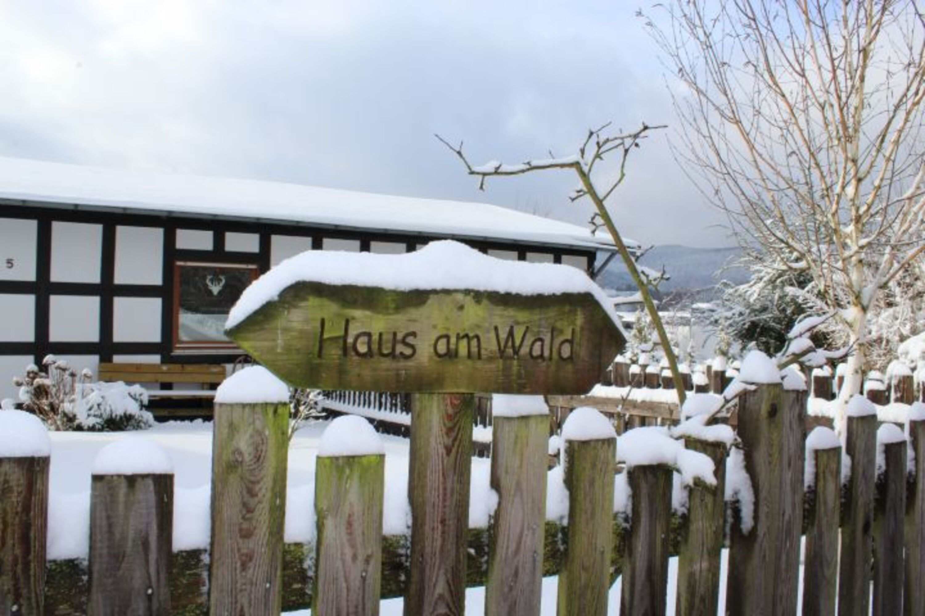 Viel Schnee im Januar und Februar