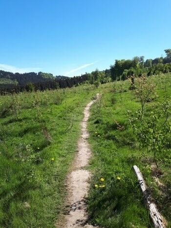 Unzählige Wanderwege starten ab Haustür ...