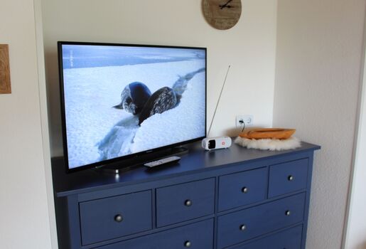 Fernsehecke mit Smart-TV 