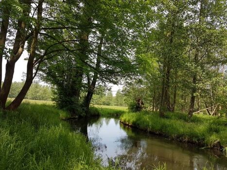 Herrliche Spreewaldfließe