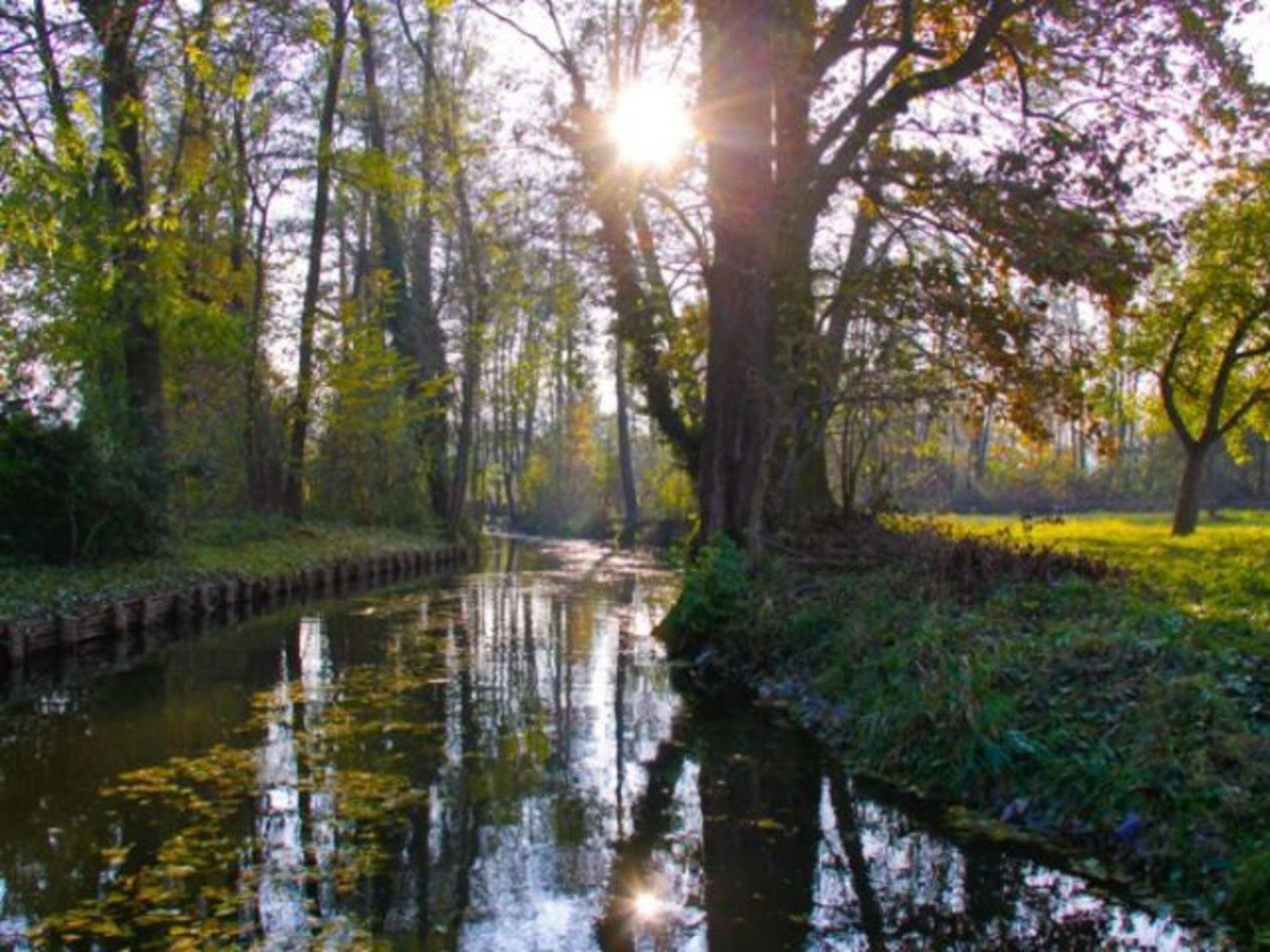 Sommerimpressionen