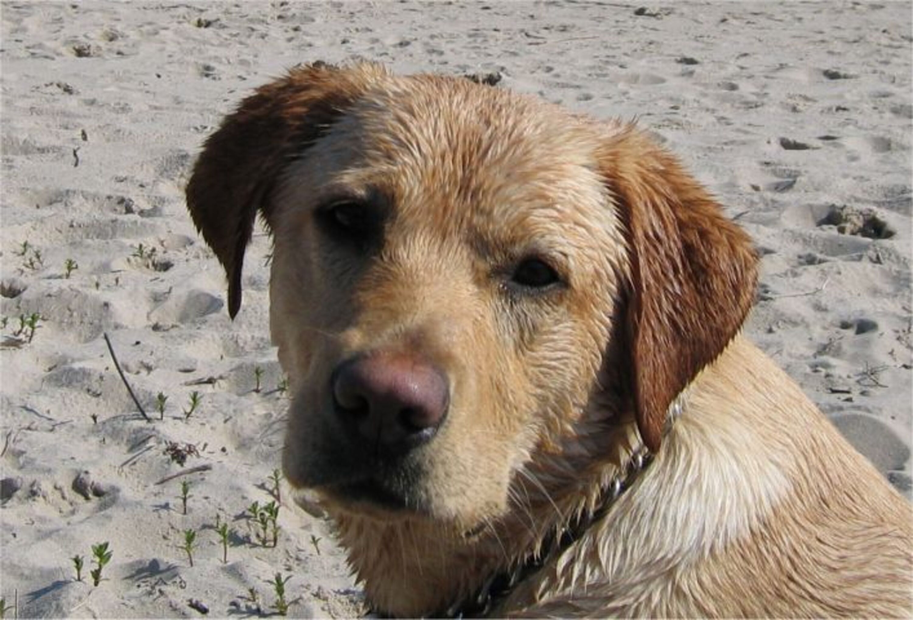 Bild 6
