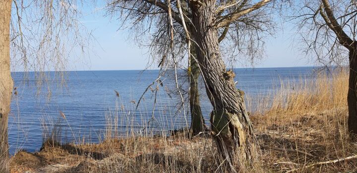 der Strand fußläufig vom Ferienhaus