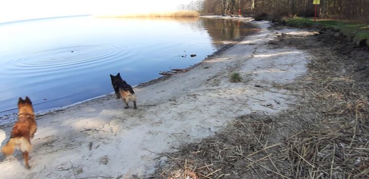 Strand in der Nähe am Stettiner Haff