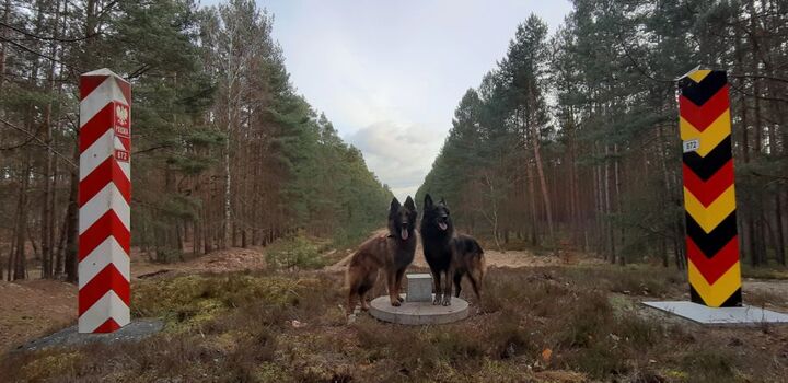 die polnisch - deutsche Grenze