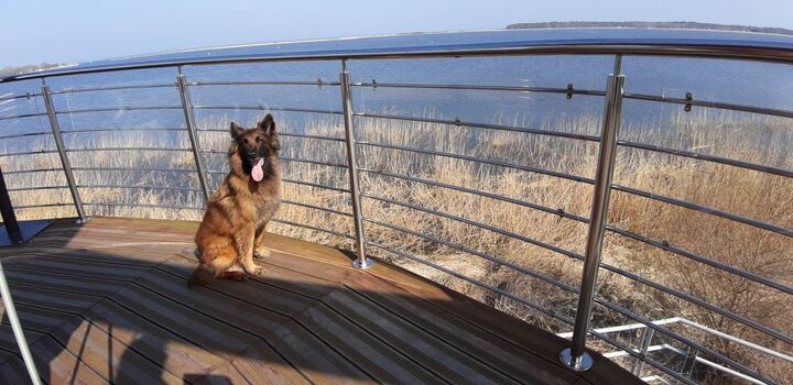 Leuchtturm in Nowe Warpno