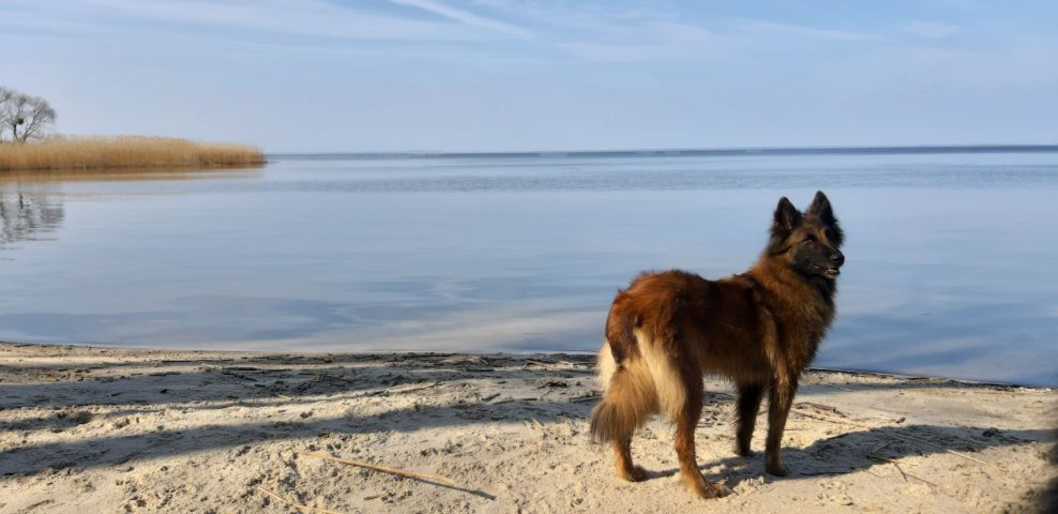 Strand in der Nähe am Stettiner Haff