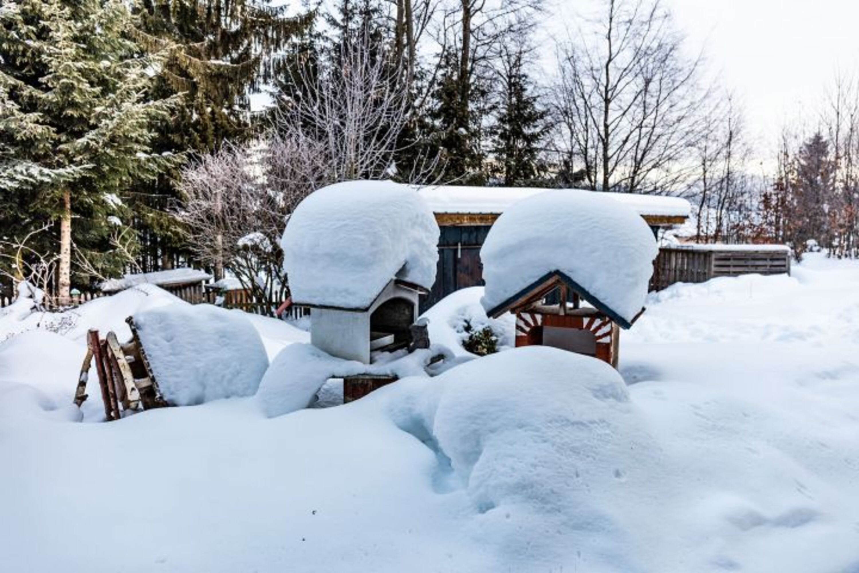 Blick in den Garten