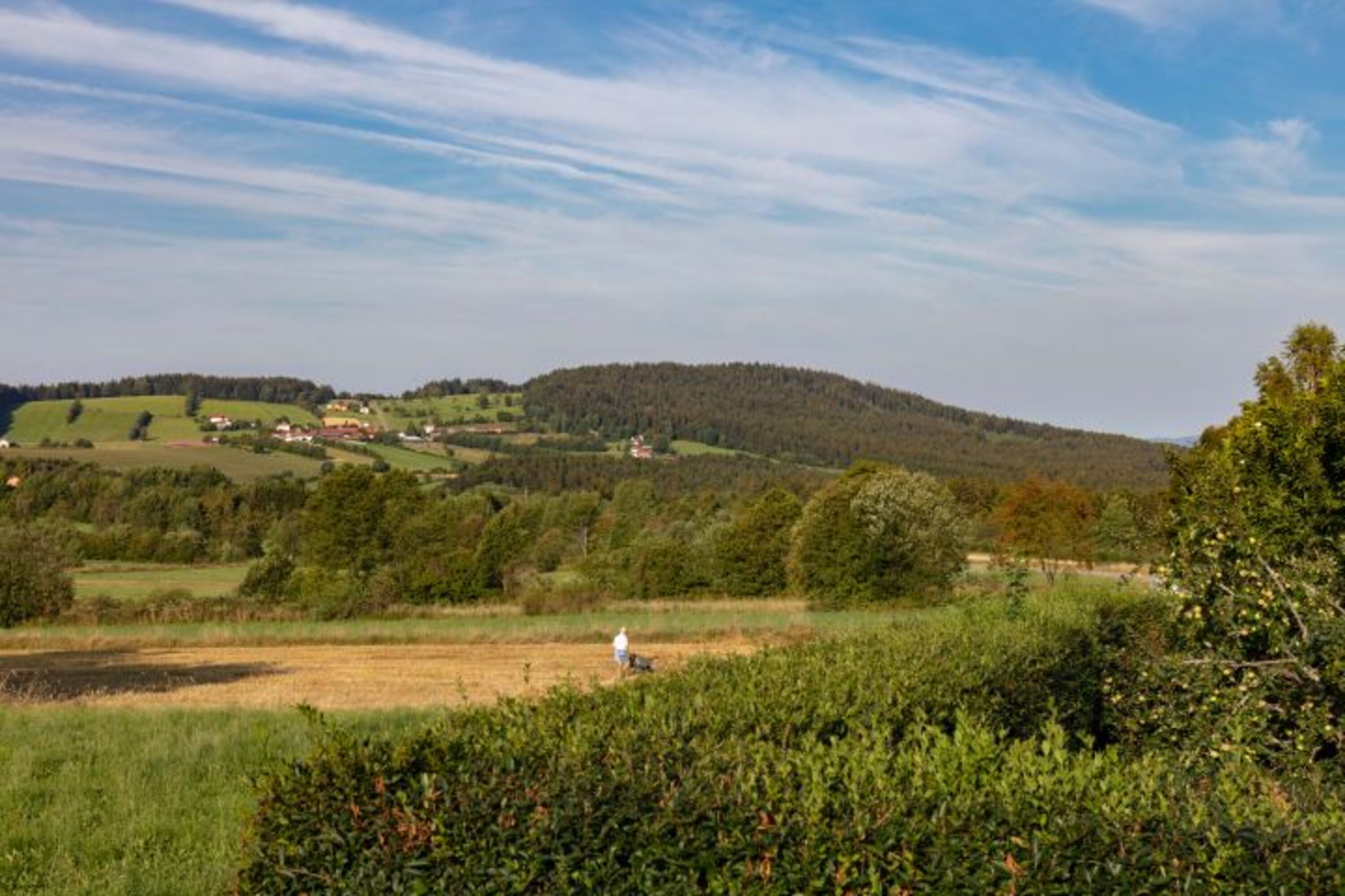 Blick vom Grundstück