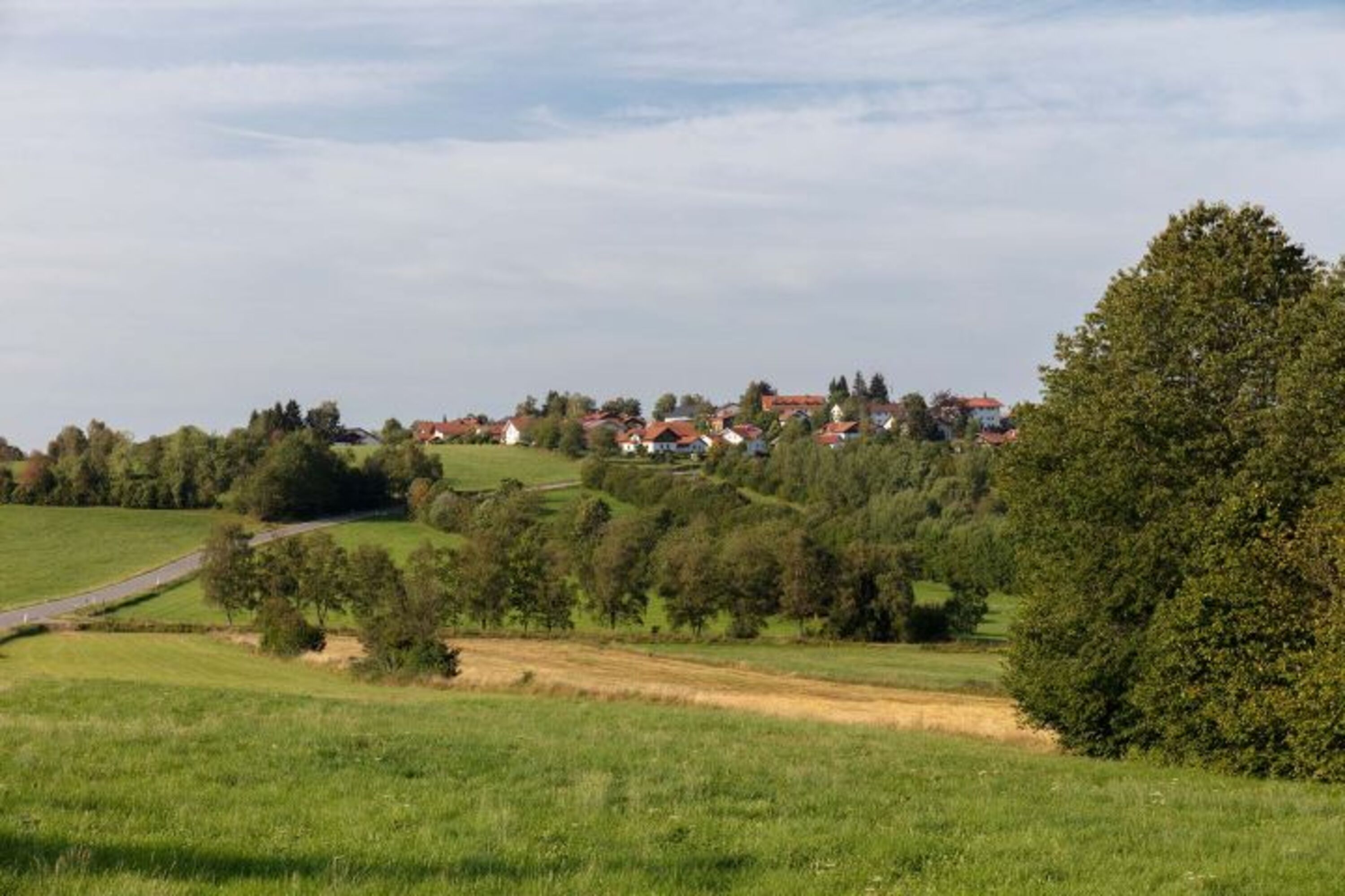 Blick vom Haus auf Hohenau