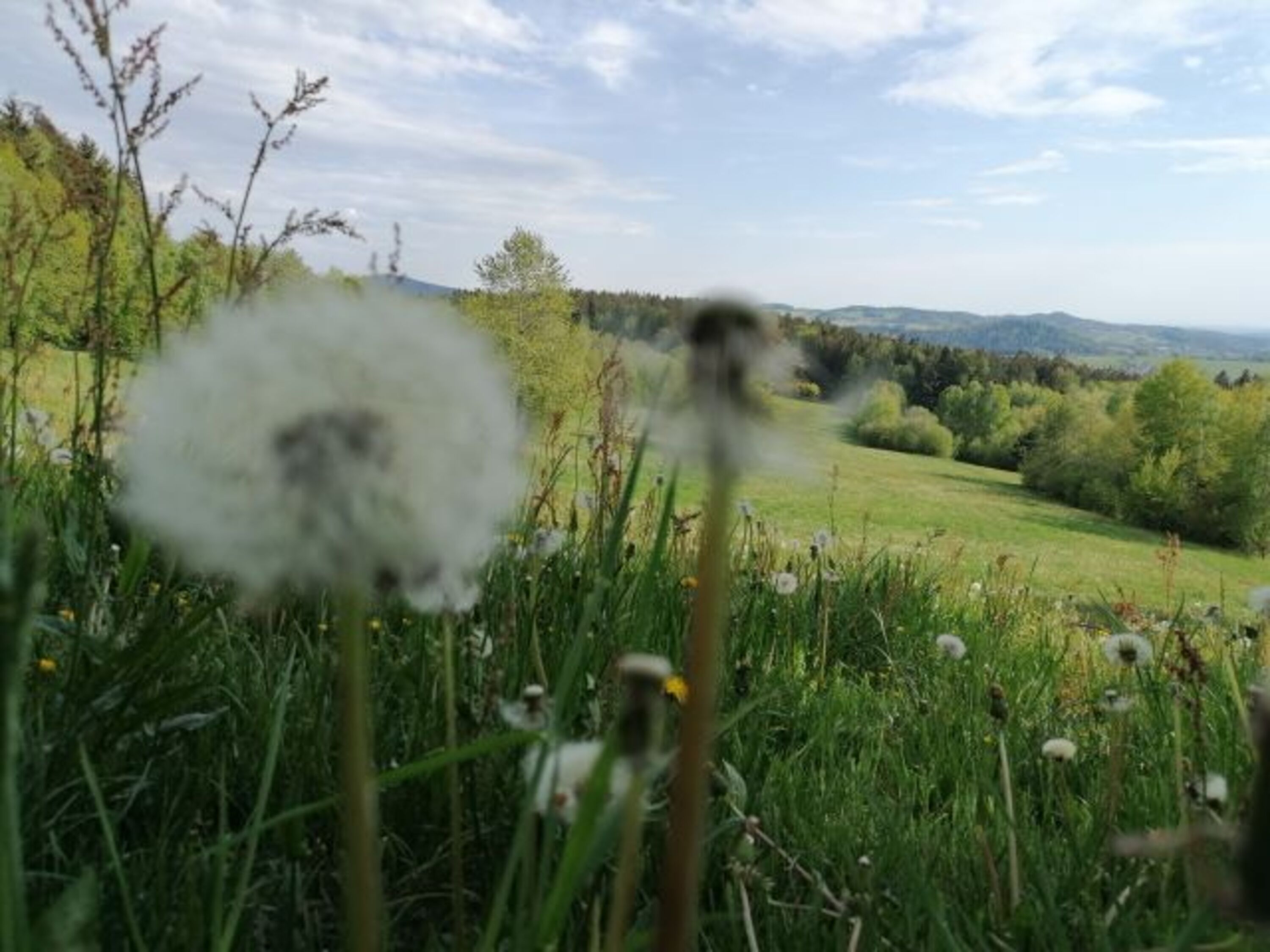 Bild 30
