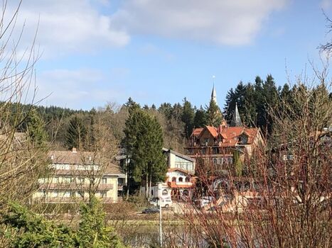 Blick auf den Kranichsee und Hahnenklee