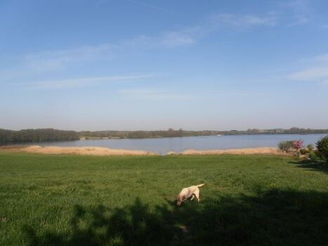 Naturschutzbucht am Wittensee