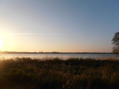 Sonnenuntergang am Wittensee