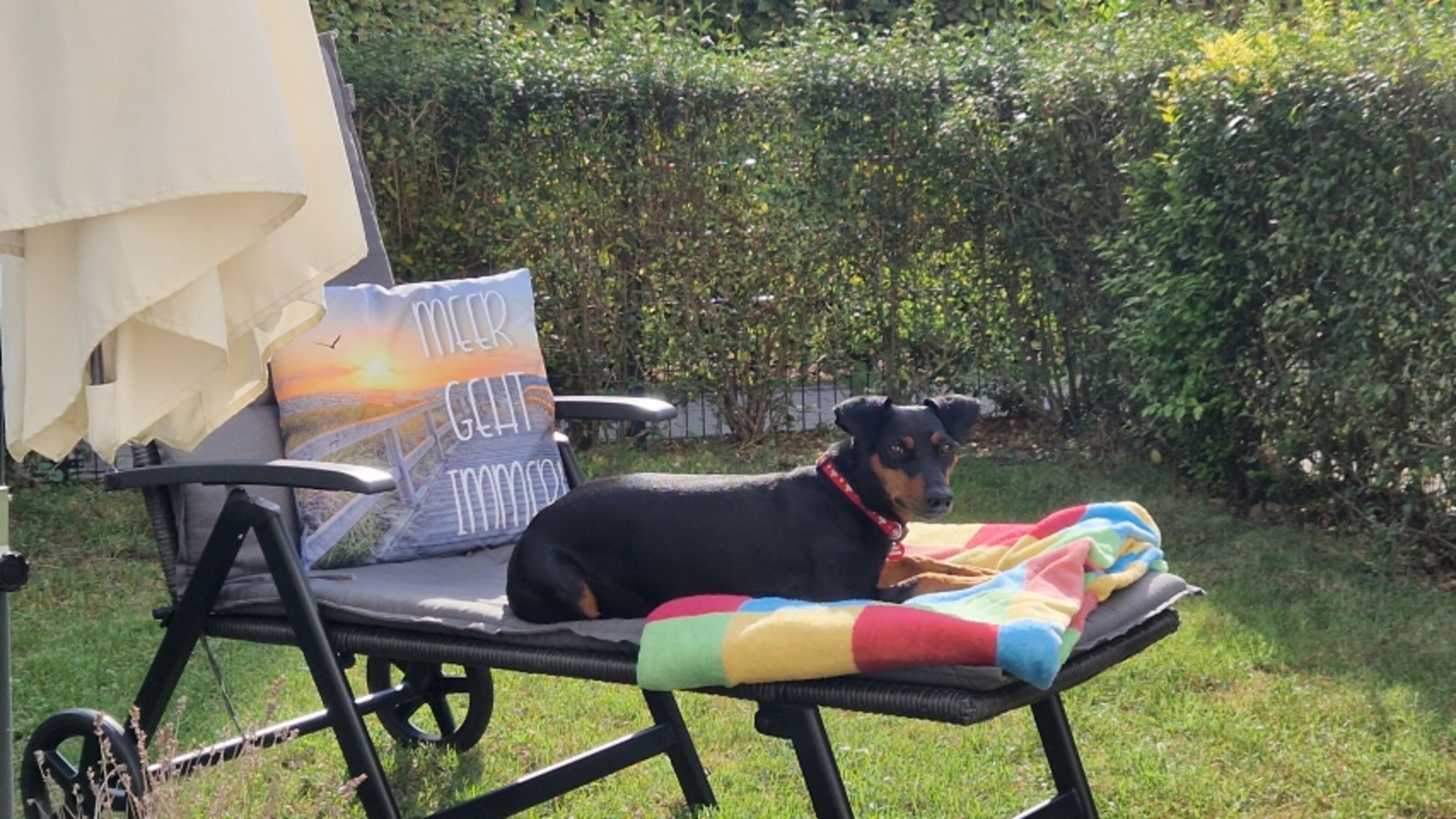 Im Garten