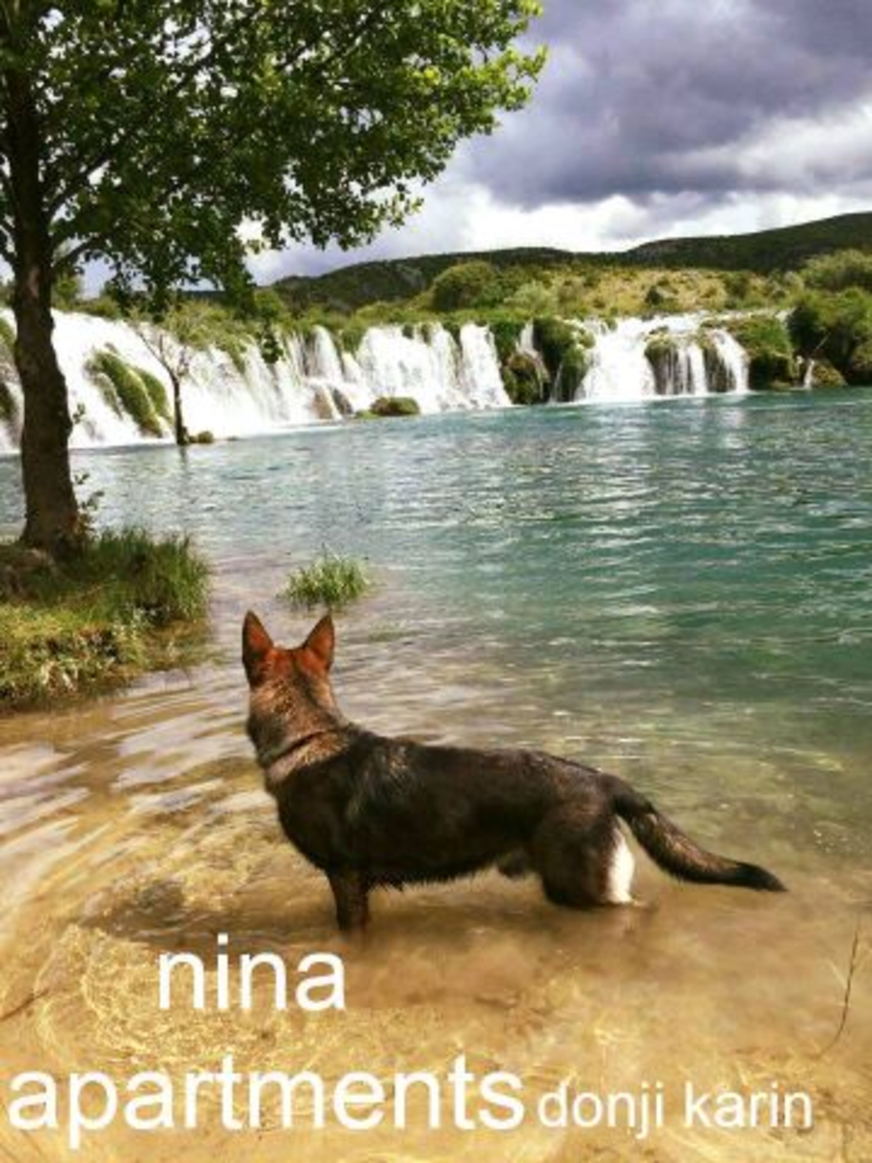 Bild 5