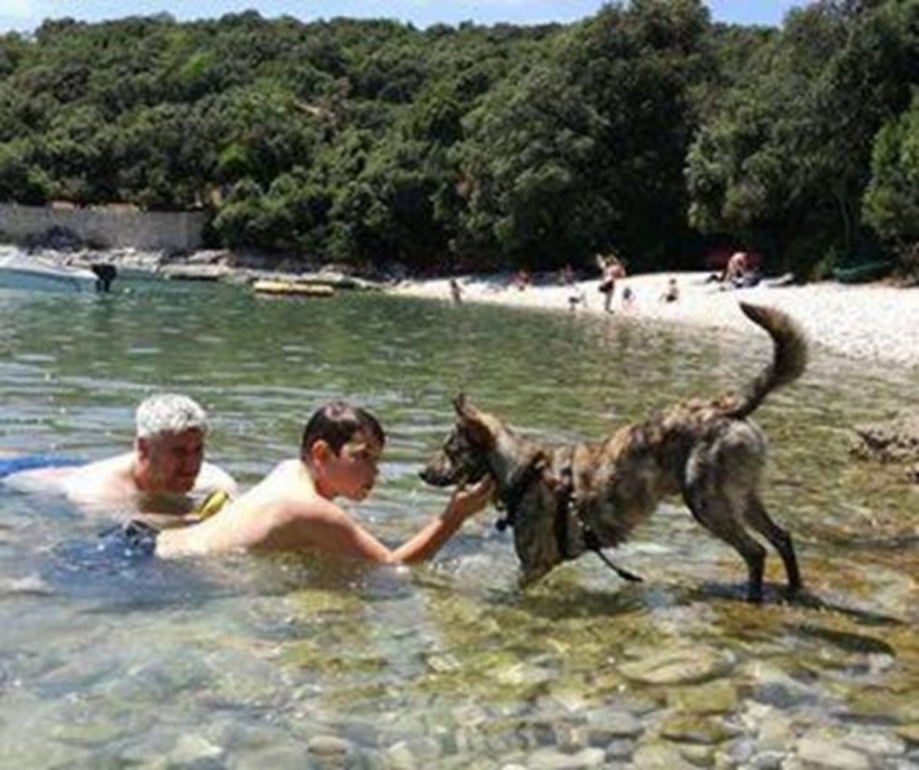 Bild 6