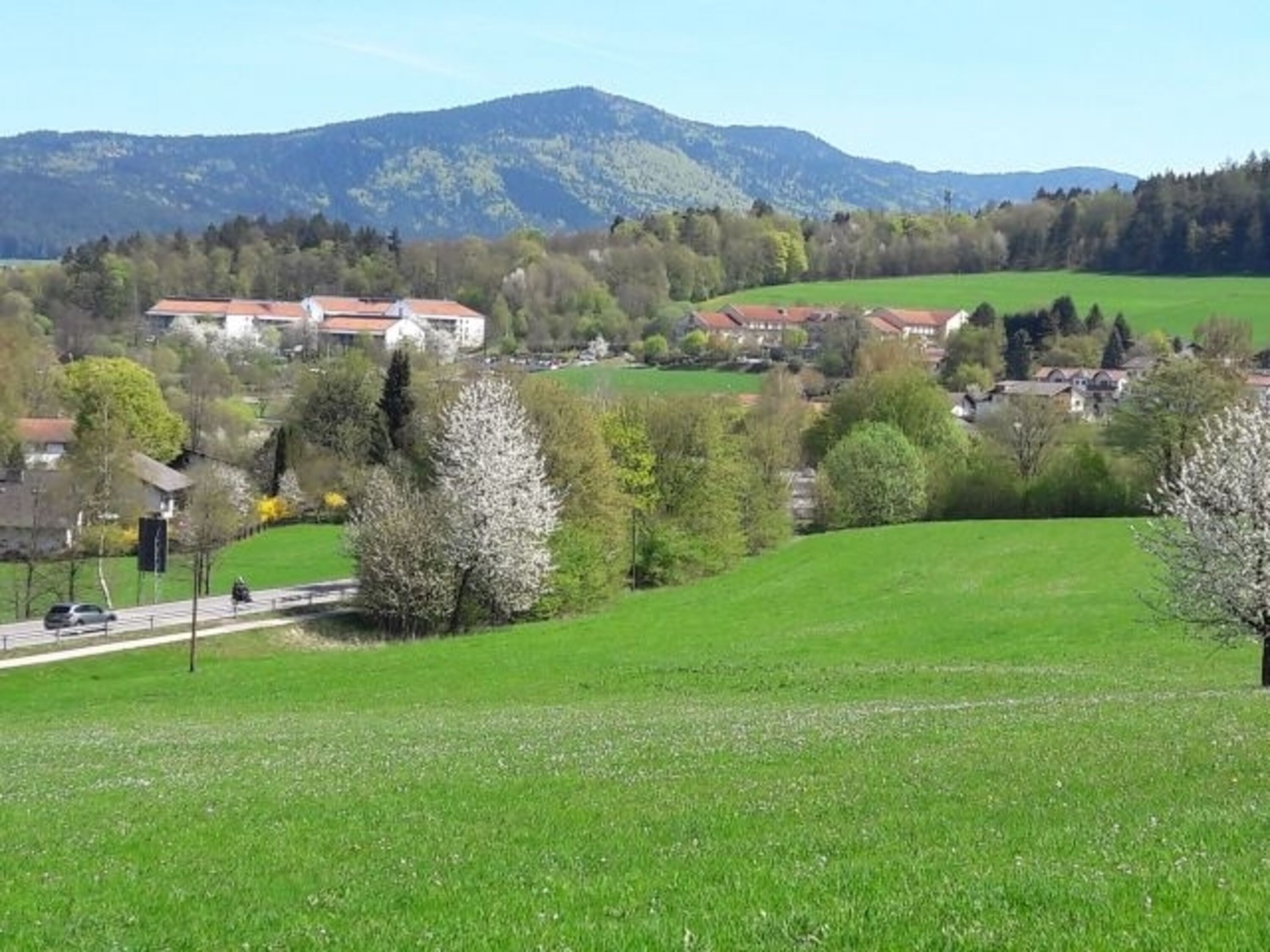 Blick auf den Kaitersberg