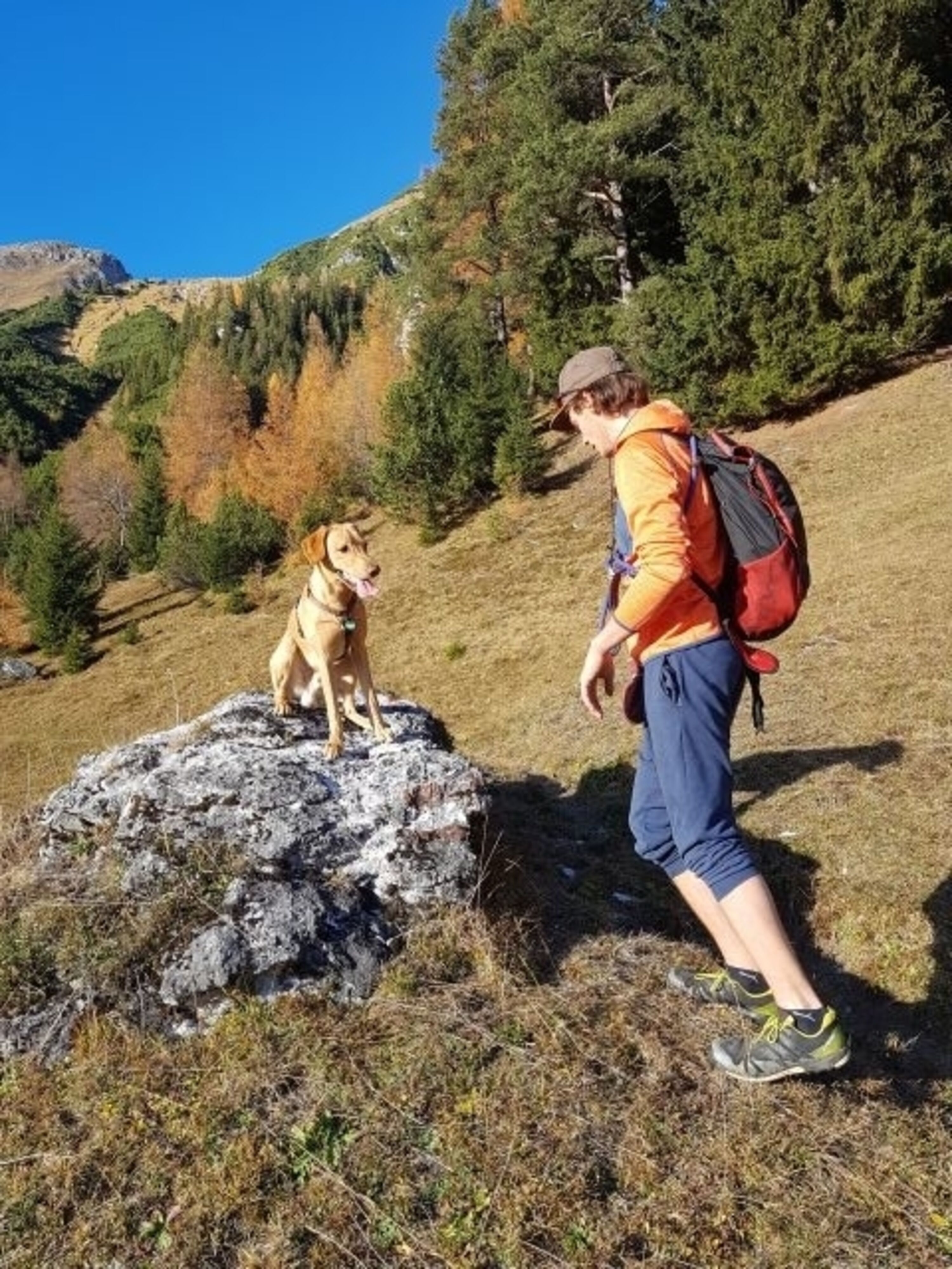 Bild 10