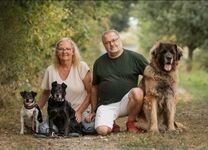 gr. Ferienwohnung " Pet's paradise ", Kamin, Pool, gr. Garten, Haustiere u. Kinder willkommen