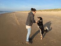 beachandmore