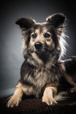 SusanneMoritz