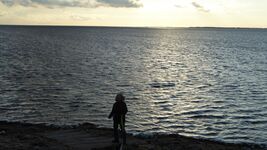 EvelynMündörfer