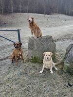ChristelKürschner-Lyhs