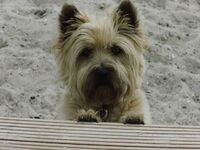 BeateMerten