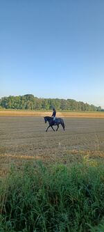 Anke