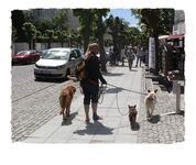 MichaelaUebler